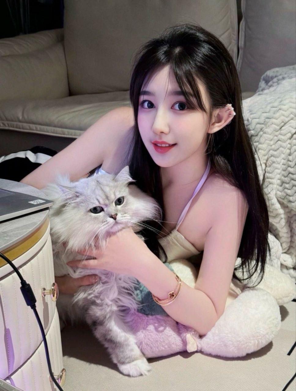 顶级茶叶鉴赏,武汉高端品茶指南