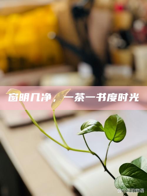 窗明几净，一茶一书度时光